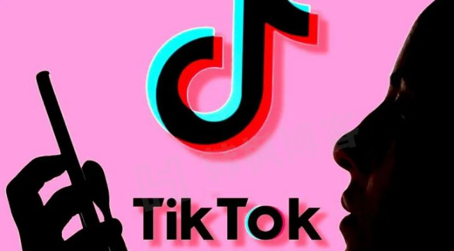 tiktok小号1元购买（24小时自动秒发）-庆虎资源网