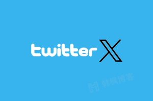 2023年twitter账号如何购买? 推特账号购买自助下单-庆虎资源网