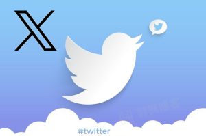 拼多多推特账号购买？（小蓝鸟Twitter购买渠道推荐）-庆虎资源网