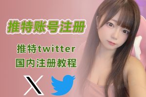 推特twitter小蓝鸟账号2元自动发货，国内推特Twitter网页版登录入口（附登录教程）-庆虎资源网