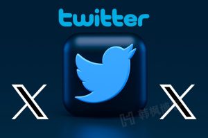 小蓝鸟Twitter推特100个账号每天分享（2023持续更新中！！！）-庆虎资源网