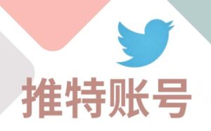 小蓝鸟Twitter推特账号怎么进行日常养护？附成品账号购买推荐-庆虎资源网