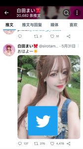 2023推特登录教程 – 通过验证手机号码的Twitter登录指南-庆虎资源网