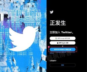 Twitter推特账号购买2元(自动发货出售平台)-庆虎资源网