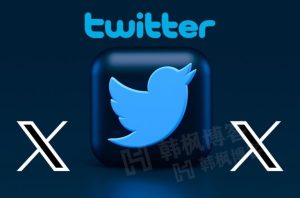 推特Twitter小蓝鸟账号养号教程！妈妈再也不怕我的账号被封了！-庆虎资源网