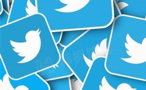小蓝鸟Twitter推特高性价比账号购买1元（自动发货、永久独享）-庆虎资源网
