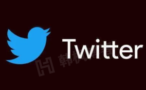推特Twitter小蓝鸟账号购买1元-自动发货、可改密码-庆虎资源网
