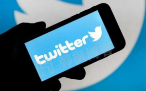 推特Twitter小蓝鸟账号购买2元 ——全新成品账号-庆虎资源网