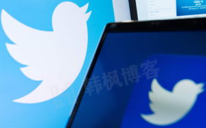 小蓝鸟Twitter推特账号出售靠谱平台-小白号、解敏账号、老号、千粉号等-庆虎资源网