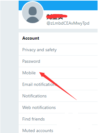 图片[10]-最新小蓝鸟/推特twitter注册，解封全教程。记得收藏-庆虎资源网