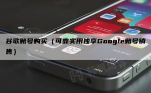 谷歌账号购买2元(2023Google永久注册登录入口)-庆虎资源网