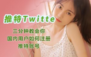 推特twitter小蓝鸟注册不了账号,显示出错了稍后再试,2023推特注册教程-庆虎资源网