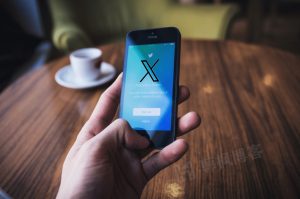 图片[3]-小蓝鸟Twitter账号购买网站-优质推特账号出售平台[自动发货]-庆虎资源网