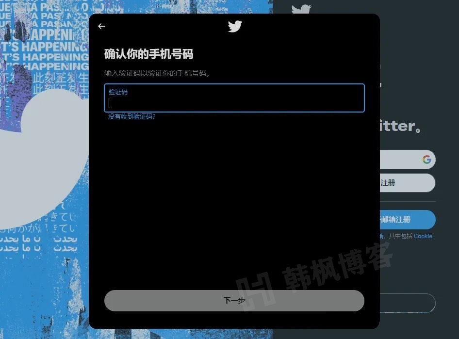图片[6]-推特账号怎么注册？（最新twitter注册教程）-庆虎资源网