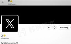 推特Twitter账号购买网站2元(自动发货,优质账号,附注册教程)-庆虎资源网