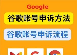 谷歌账号被停用怎么申诉?(Google账号解封教程)-庆虎资源网