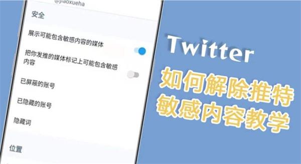 2023Twitter推特解敏教程，Twitter推特解敏账号购买-庆虎资源网