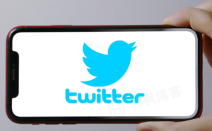 小蓝鸟Twitter推特账号如何获取？靠谱平台推荐-庆虎资源网