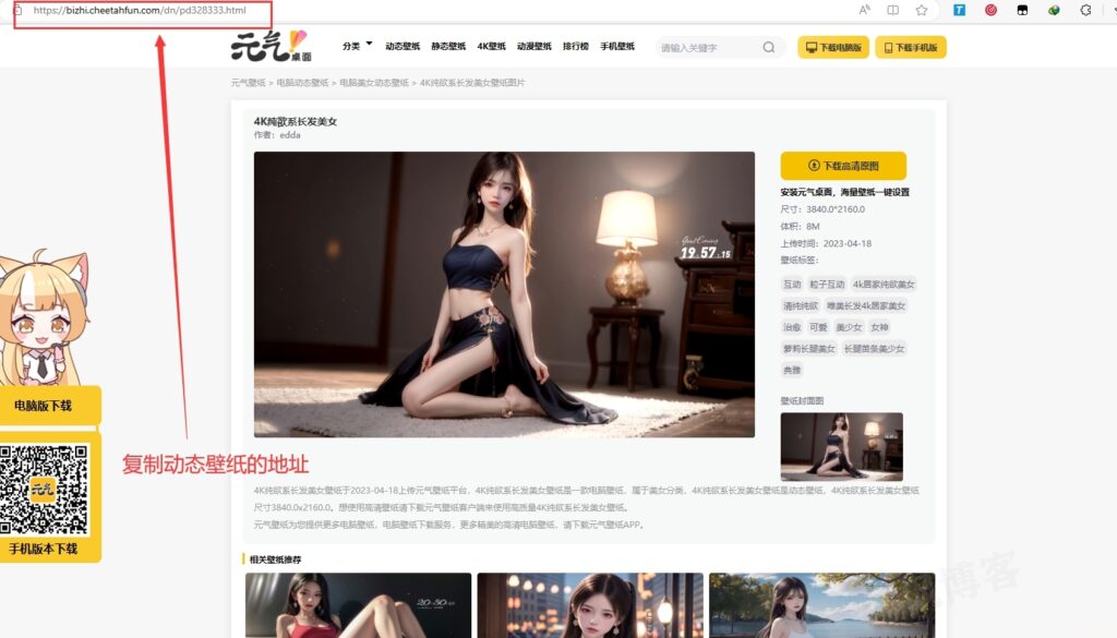 元气动态壁纸在线下载PHP源码-庆虎资源网