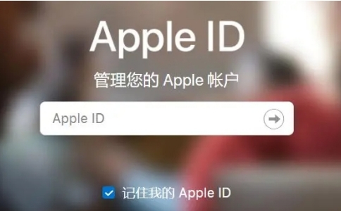 苹果ID怎么购买?(靠谱购买平台推荐）-庆虎资源网