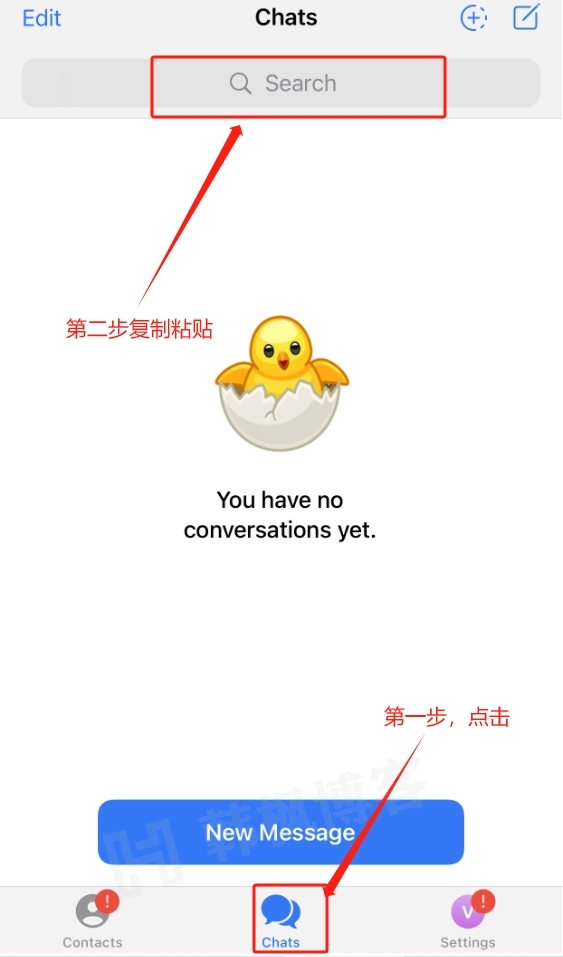 苹果手机版Telegram电报/纸飞机改中文(汉化)教程